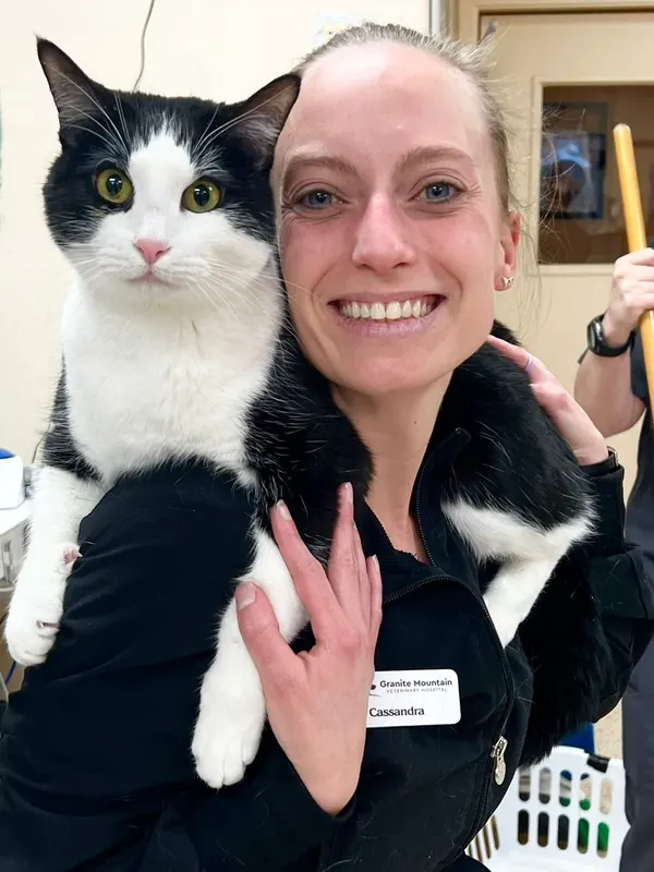 A team member with the hospital's tuxedo cat.