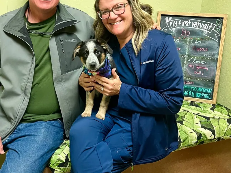 Longtime clients with their dog on the lobby bench.