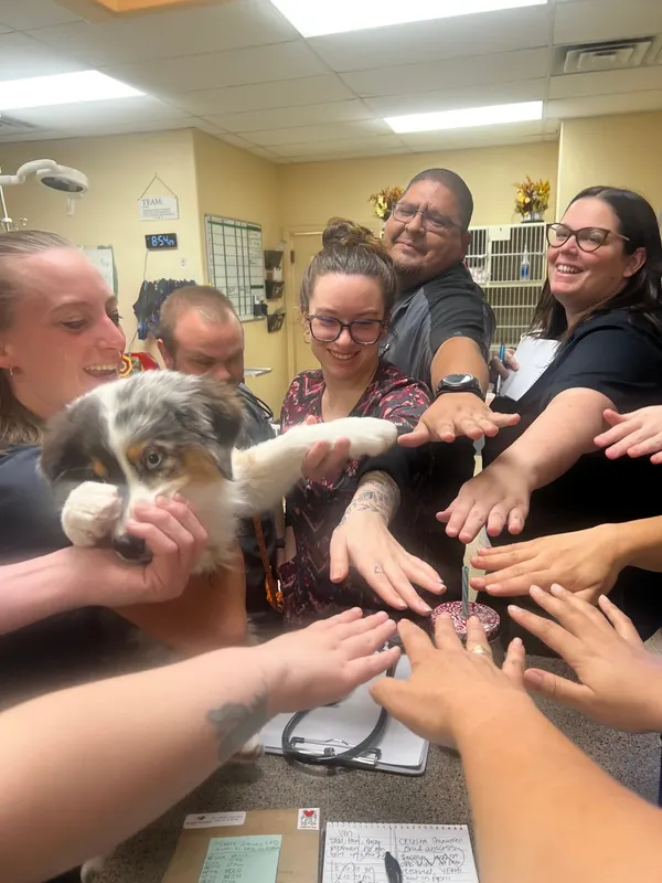 Team members resting their hands together around a patient.