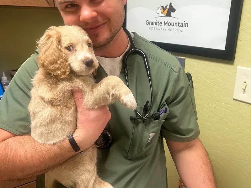 A team member holding a puppy patient.