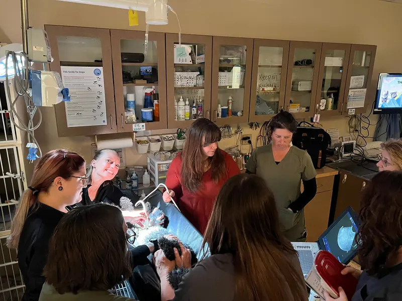 The team learning on the new ultrasound equipment.