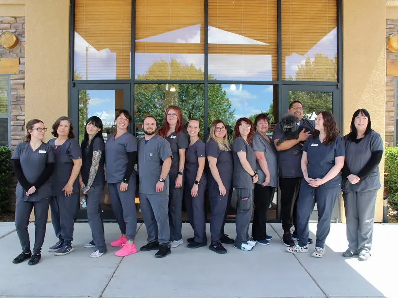 The full team lined up in front of the hospital windows.