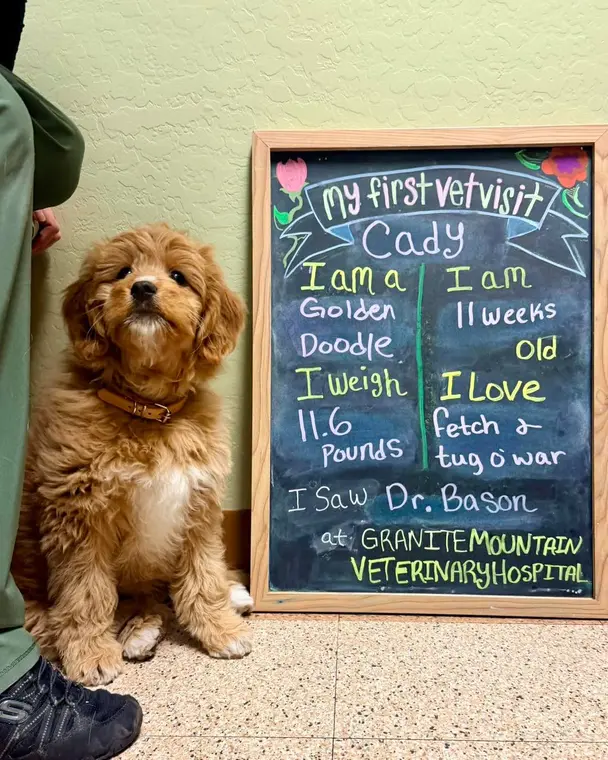 Cady is the sweetest little lady, and we are excited to get to help her mom keep her happy and healthy for ...