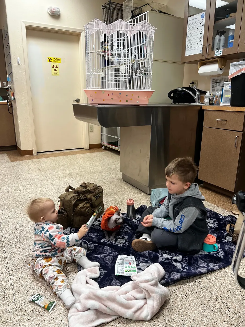 Lee, a sphynx cat in an orange hoodie, sitting on a blanket during a floor picnic with two young children at the hospital.