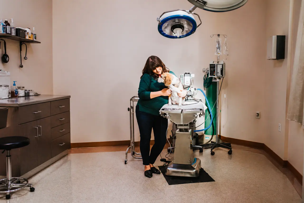 Dr. Sarah Bason holds a small patient in the surgical suite at Granite Mountain Veterinary Hospital, beside the surgical table and monitoring equipment.