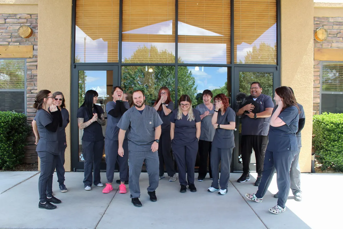 The Granite Mountain Veterinary Hospital team together for a candid group photo.