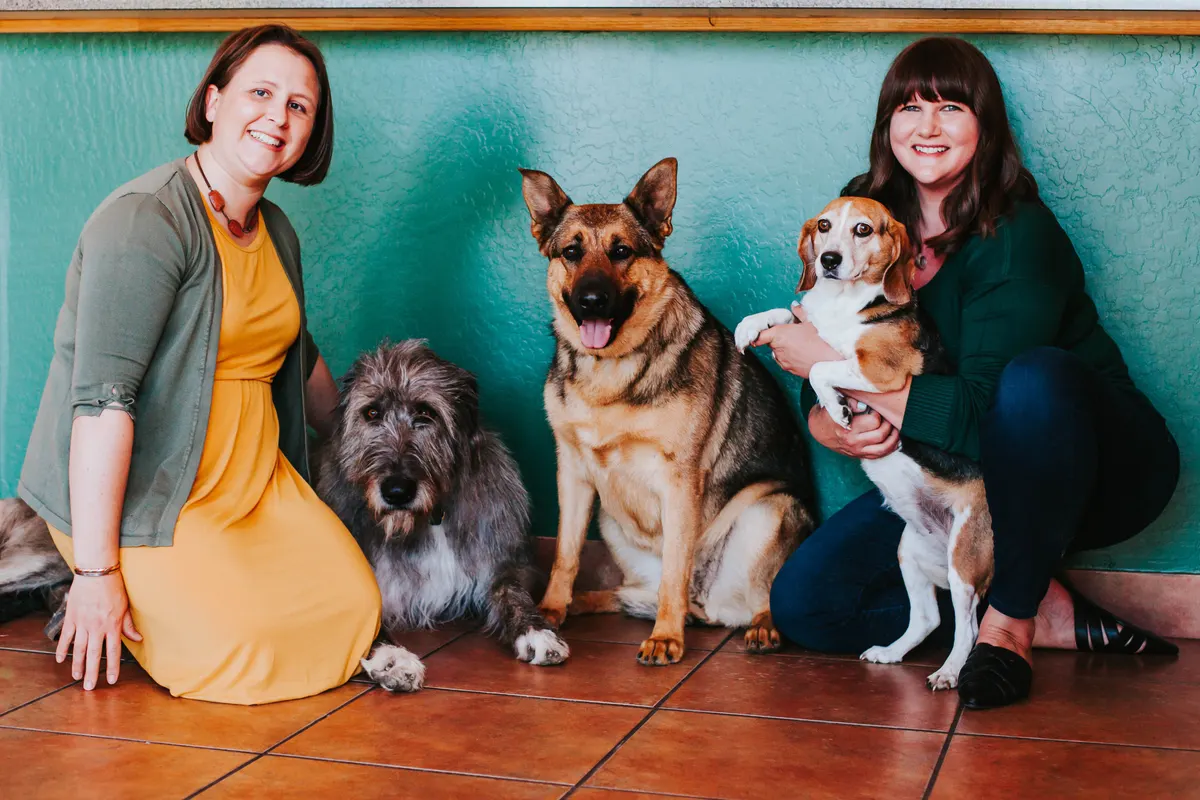 Team members with dogs in the hospital.